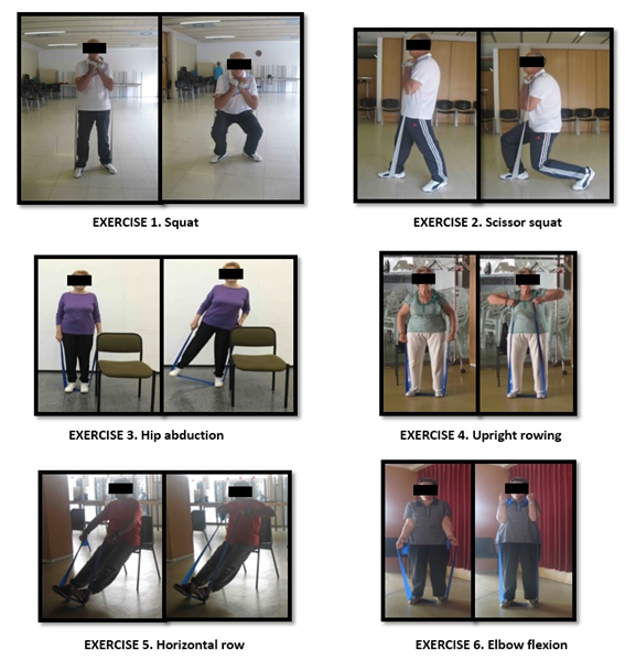 Core muscle activity in a series of balance exercises with different  stability conditions.