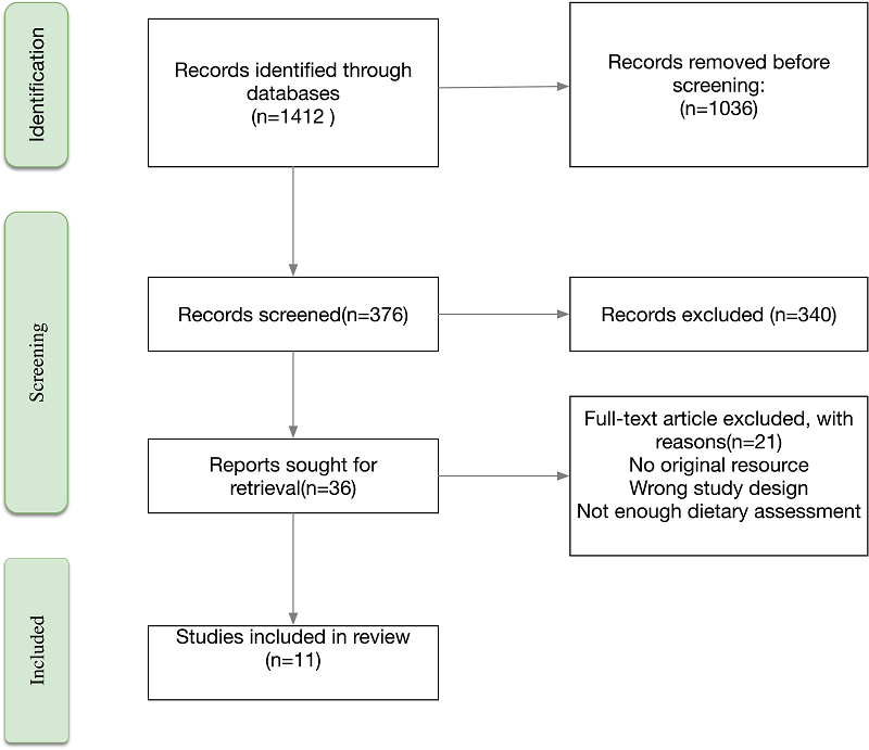 Search process