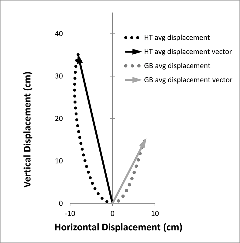 2-dimensional barbell displacement and corresponding displacement vectors for average HT and GB patterns