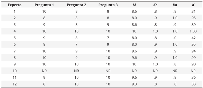 Resultados obtenidos por cada uno de los expertos participantes