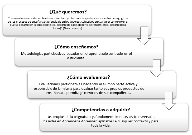 Estructura del objeto de estudio