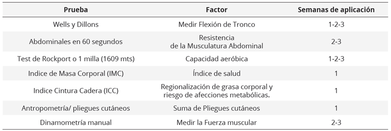 Distribución aplicación de las  pruebas