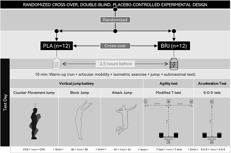 
Experimental  Protocol
