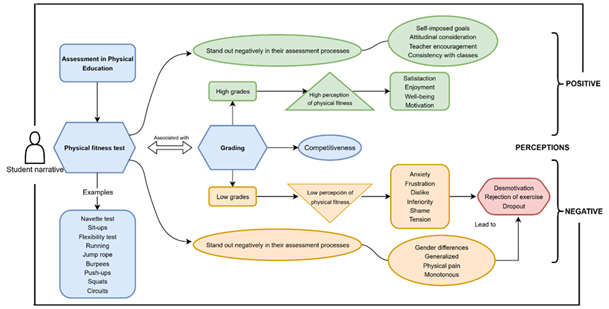 
Conceptual map of Physical Assessment Test Experiences
