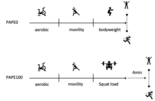 
General  Scheme of the Experimental Protocol
