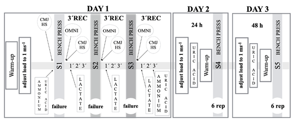 
Experimental Protocol
