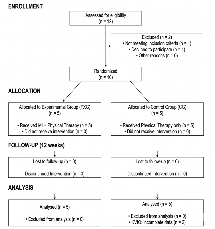 CONSORT Flow Diagram