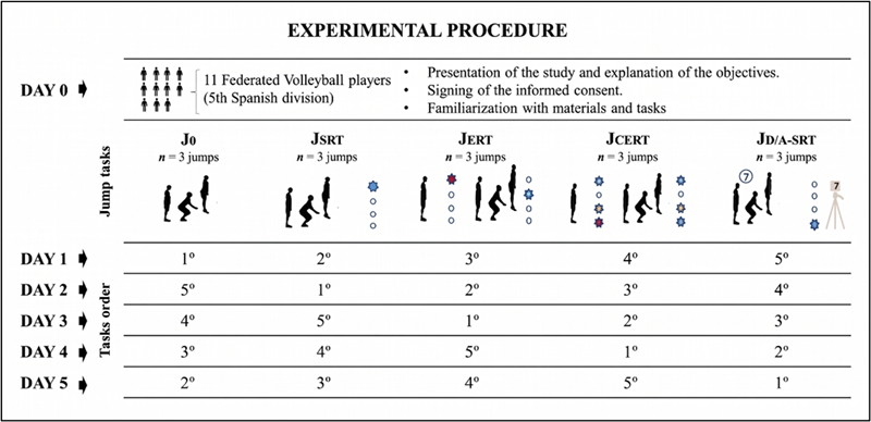 
Schematic Representation of the Experimental Design and Sessions
