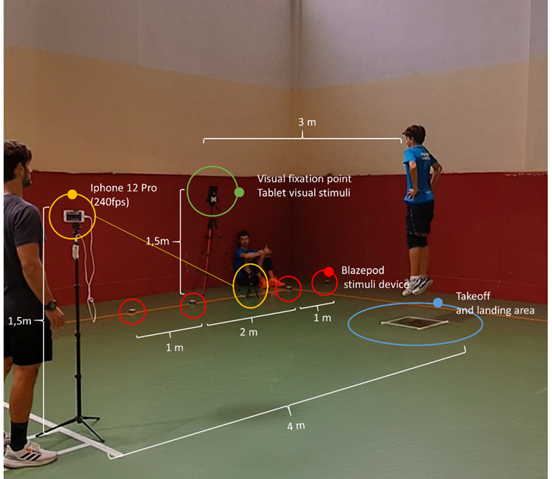 
Visual  Graph of the Experimental Setting
